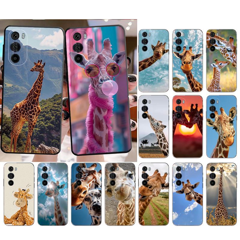 Phone Case For Motorola Edge 60 50 40 Pro 60 50 40 30 Ultra Neo Fusion Moto G Stylus G Giraffe Animal