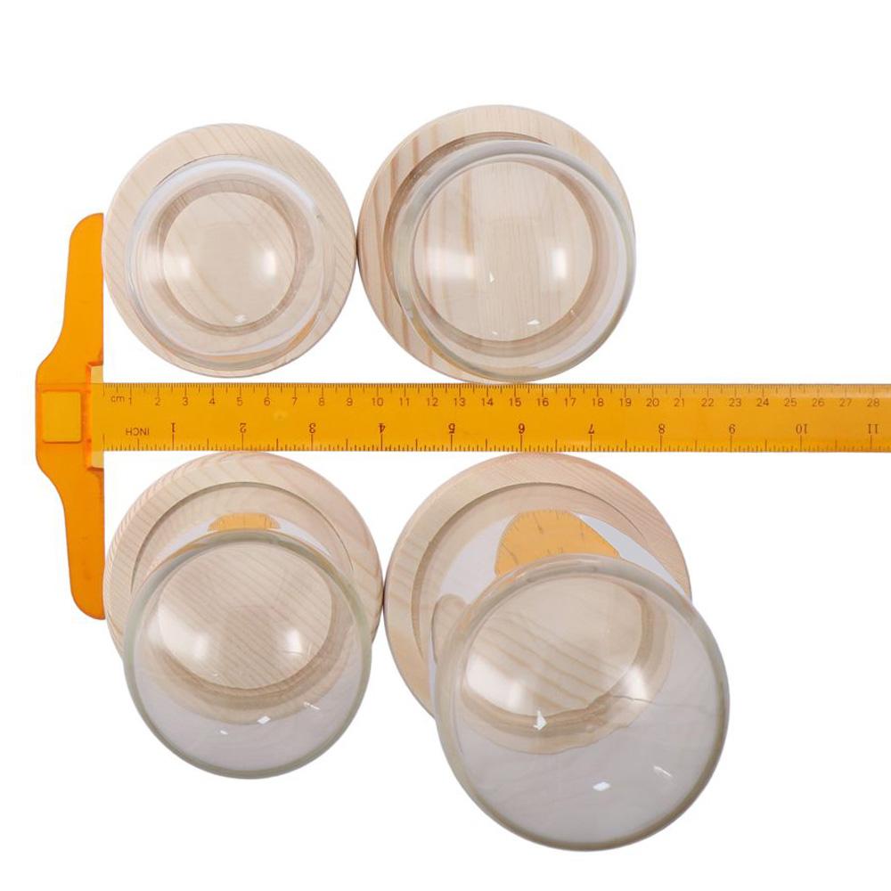 Tabletop Centerpiece Glass Bell Shape Dome with Wooden Base Bell Jar Display Case  Home Decor