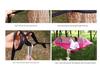 Automatic Quick-Open Mosquito-Proof Hammock with Parachute Cloth for Outdoor Camping (Single/Double)