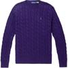 Polo Solid Logo Embroidered Crew Neck Pullover Sweater Men Sweater 710918998-009