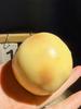 Klebriger Knuspriger Weicher Kartoffel Stressball Quetschspielzeug Stressabbau Geräuschvolle Spielzeuge Handgefertigter Ball Taktile Entspannung Knetspielzeug