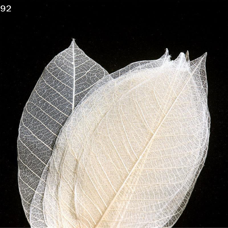 5~9CM*2~3.5CM,10PCS/Set,Real Dried Natural Vajra Leaf ,Pressed Dry Flowers Skeleton Leaves,DIY Wedding Decoration