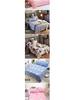Soft and Skin-friendly Single Print Duvet Cover & Brushed Bed Sheet - 1.5 Meter