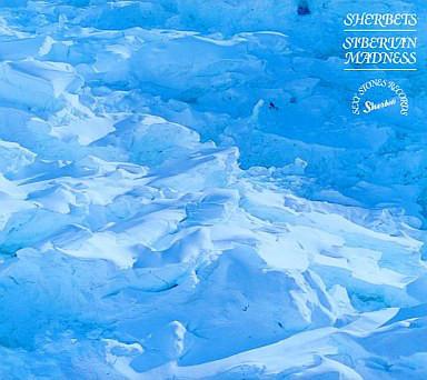 

CD SHERBETS Siberian Madness VKCS35 Sexy Stones Rec 2005 Japan Rock Used