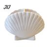Small Item Storage Organizer Shell Shape Toothbrush Holder for Bathroom Countertop, 2 Compartments Waterproof Countertop Toothpaste Stand Desktop