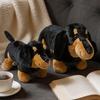 1 Stück Kawaii Dackel Plüschtiere Niedliche Hunde Puppe Gefülltes Weiches Tier Spielzeug Für Geburtstagsgeschenke