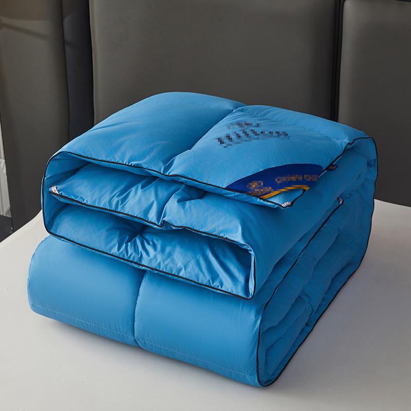 Hotel Duvet 95 White Goose Down Quilt Summer Cool Duvet Insert Airable Cover Spring and Autumn Quilt Winter Quilt