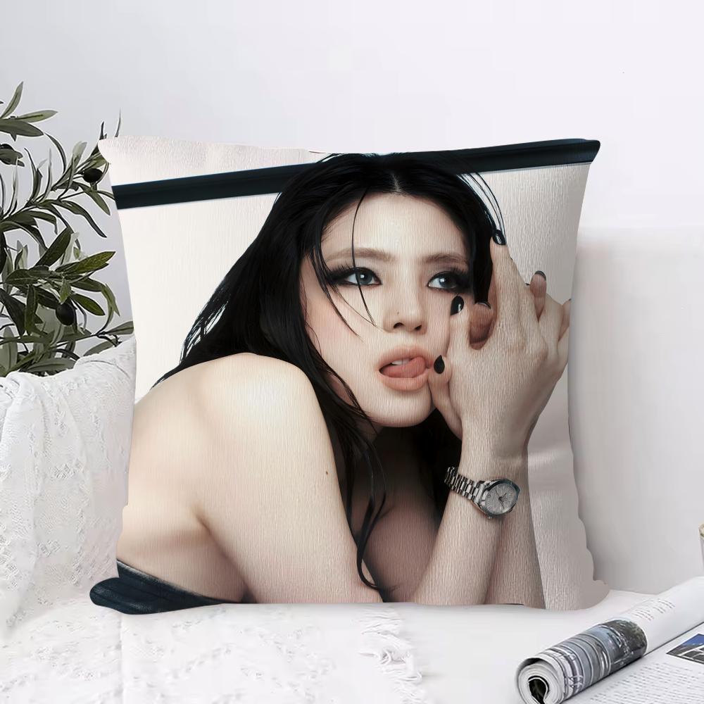 Han Sohee Cushion Cover Anti-dustmite Pillowcase Invisible Zipper Silky Short Plush Sofa Cushion Cover