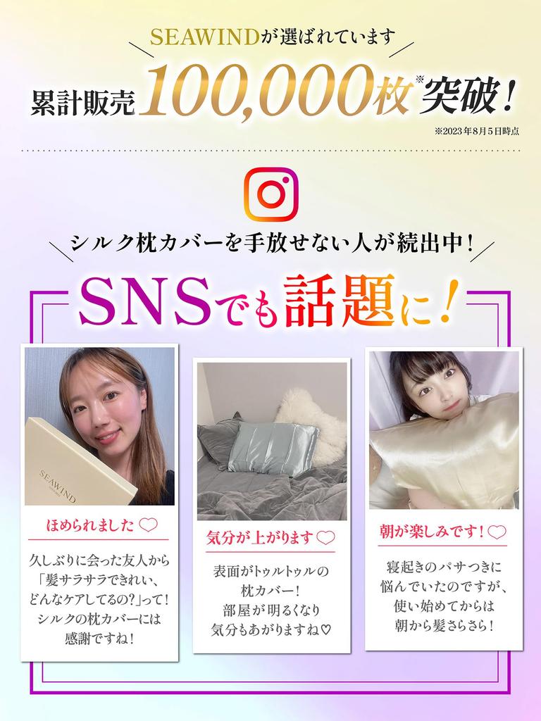 SEAWIND Silk Pillow 19 Shiny Beautiful Skin 43 x 63 Cover, Washable, Double-Sided Silk, Momme, 90% Silk, Hair, (Navy, cm)