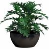 Plant Pot Garden ID Black 35 X 16 Cm