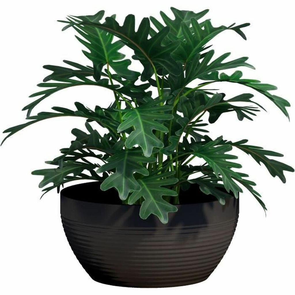Plant Pot Garden ID Black 35 X 16 Cm