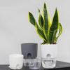 Self Watering Flowerpot Automatic Self-watering Flowerpot with Drainage Holes Transparent Base Hydroponic Planter Flowerpot