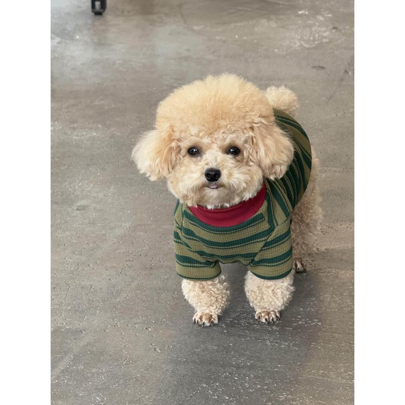 Teddy Dog Shirt Spring Autumn Outdoor Warmth Prevention Two Feet Clothes round Neck T-Shirt Panda Pattern Pet Clothing Access...