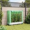 Vidaxl Raised Planter With Greenhouse, Rattan Look, 120X40X123 Cm