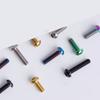 Multiple Color M4 x 6 8 10 12 16 18 20 25mm GR5 Titanium Alloy TC4 Mushroom T20 Torx Head Screw Bolt For Road bike