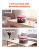 Forever Flowers, 50 Preserved Roses In a Box, Eternal Flowers Immortal Bouquet Birthday Present for Delivery Prime Women Her Wife Mothers,