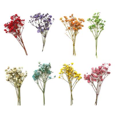 12 Pezzi Bouquet di Fiori Secchi Vividi Lunga Durata Eterei Bellissimi Gypsophila Essiccata Matrimonio Bouquet da Sposa per la Casa