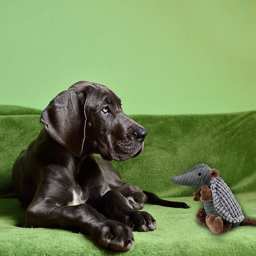 armadillo dog toy