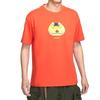 Nike Acg Cruise Boat T shirt FQ3726-809