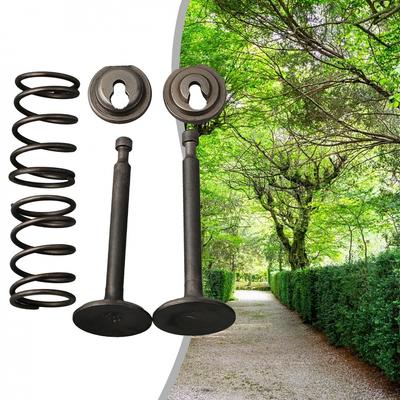 Kit de retenedores de muelles de válvulas de admisión y escape para 168F 170F 5.5-6.5HP GX160/200