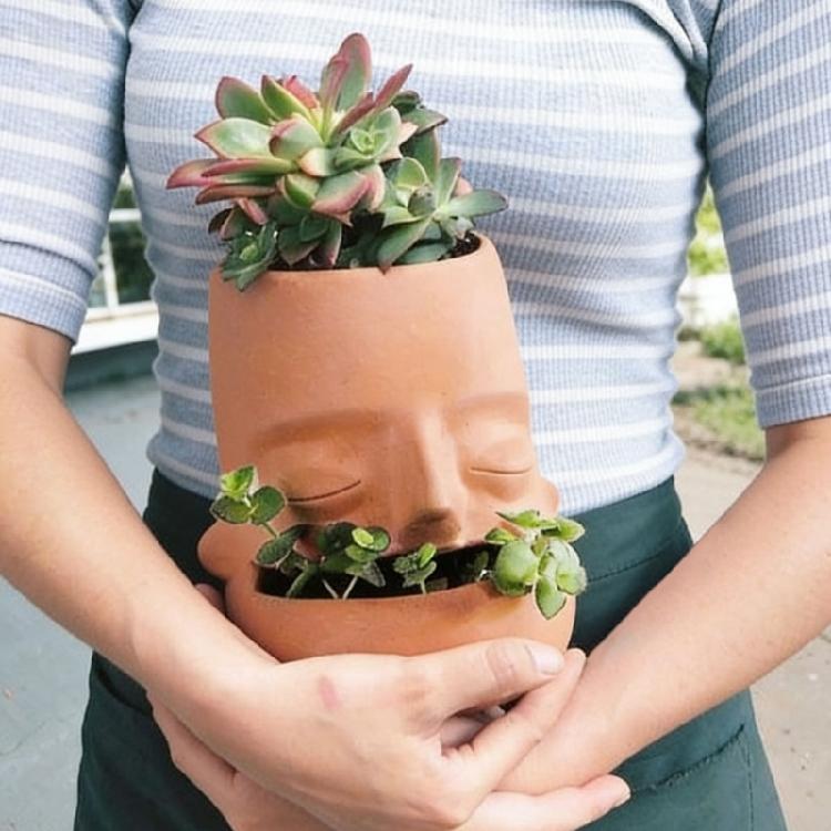 Striking Red Clay Face Formed Flower Holder Designed For Superior Root Ventilation