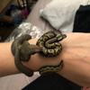 Dárek v podobě zvířecího modelu pro přátele Simulovaná hadí krajta Zvířecí náramky Hadí náramek Hadí trikové hračky Simulovaný model zvířete