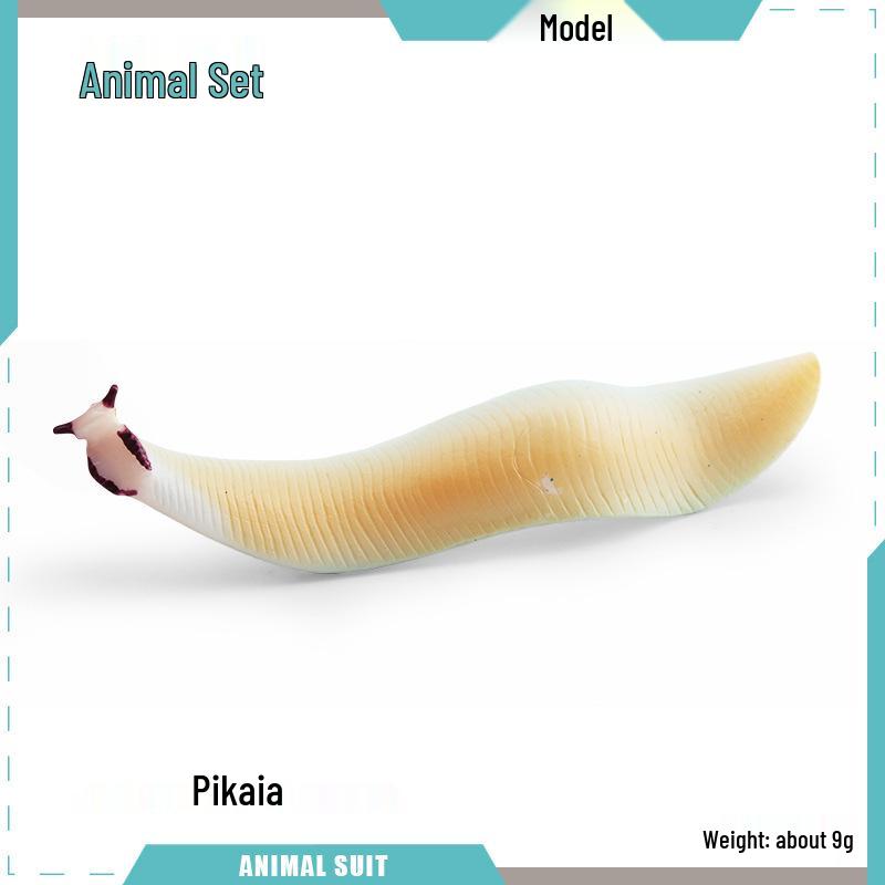 Ancient Marine Animal Model: Wiwaxia, Olenelloides, Pikaia, Insect Simulation Ornament