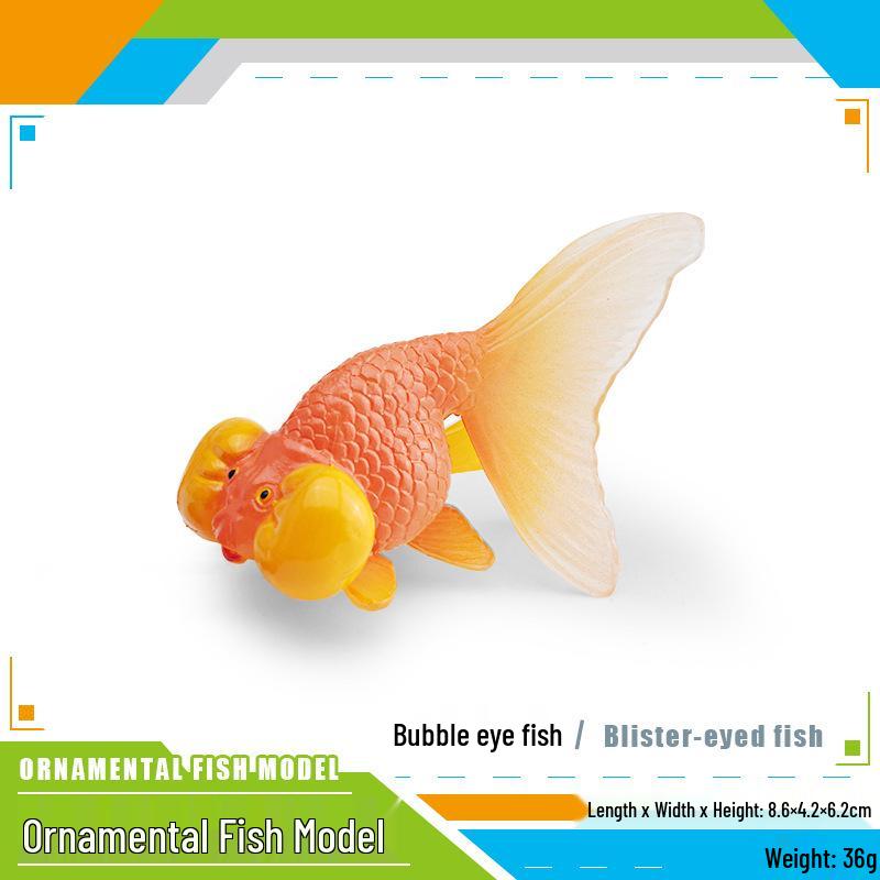Ornamental Fish Model: Red-crowned Crane & Skygazer Dragon with Water-bubble Eye Shubunkin Goldfish Koi