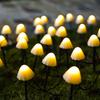 1 Set Mushroom-Shaped Lights Battery/Solar Energy/USB Interface Powered Lights Garden Lawn Waterproof Decor Lamp 3 Light Colors