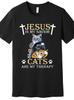 Christian Funny Graphic T-Shirt - Jesus Is Savior Cats Are My Therapy Premium Sh