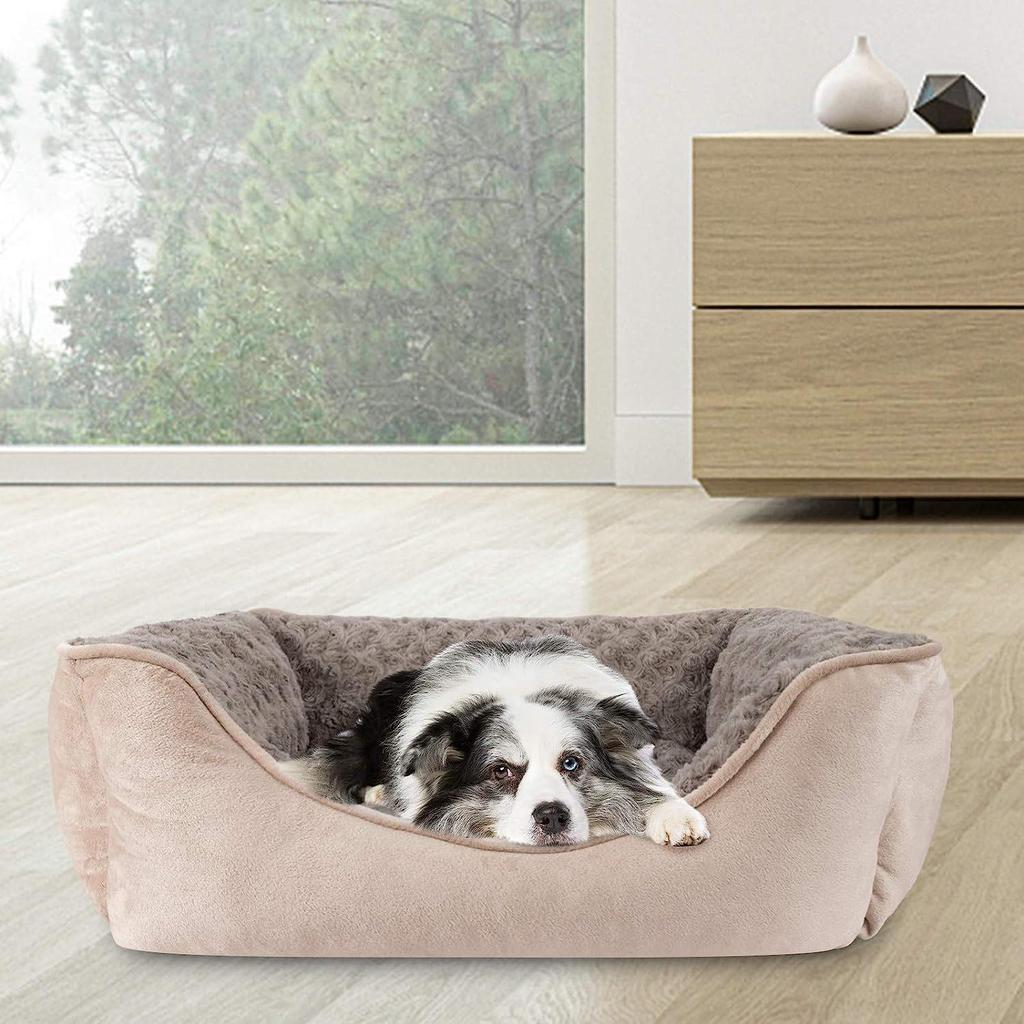 Popular Dog and Cat Bed for Small to Large Breeds: Teddy to Golden Retriever