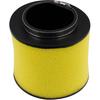 Road Passion Air Filter Cleaner 17254-HN5-670 Replacement for Honda TRX350FE Rancher 350 ES 2000-2006/ TRX350FM Rancher 350 2000-2006