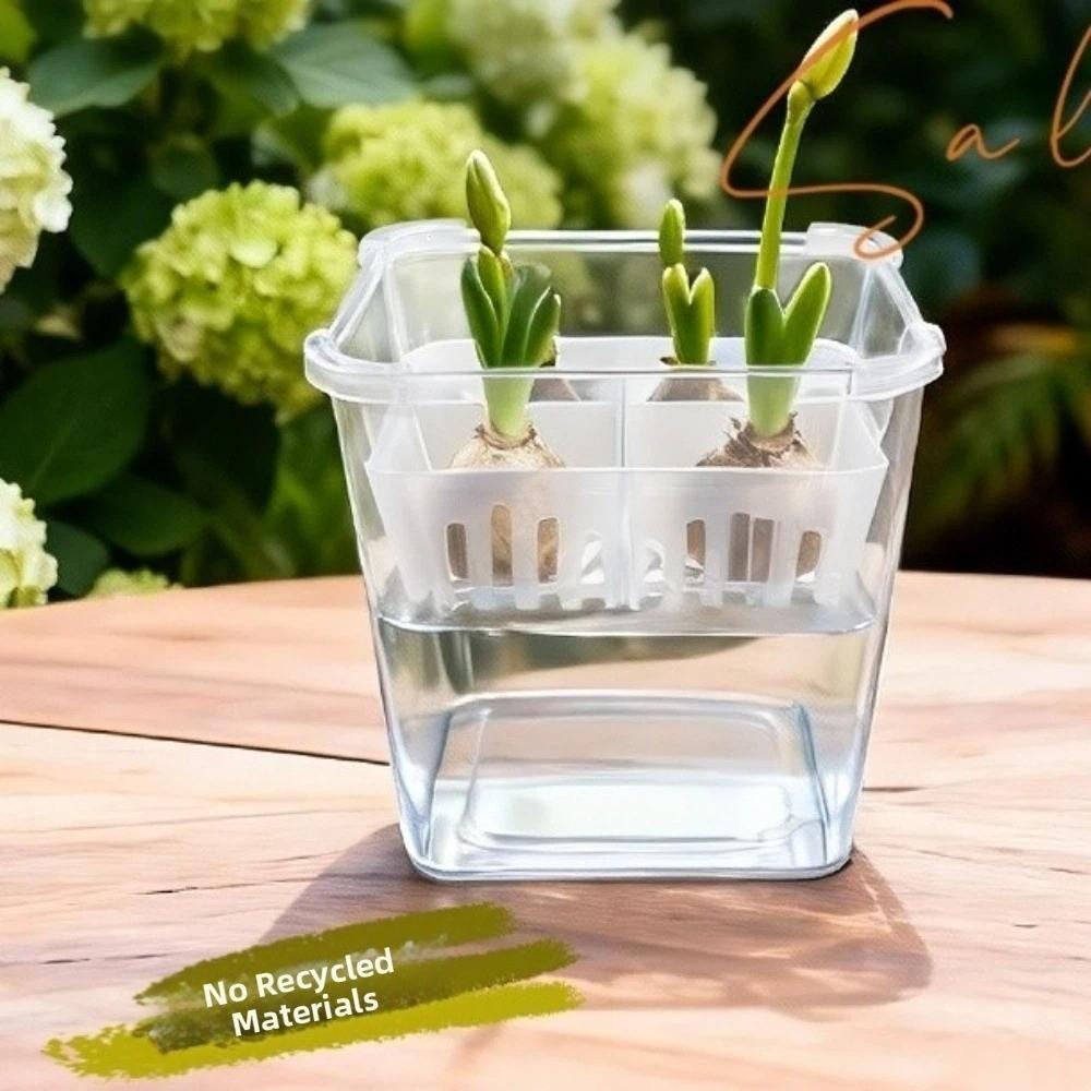 3PCS 4-grides Design Hydroponic Flower Pot with Drainage Holes Transparent Planting Basket Plastic Square Tulip Bulb Planter
