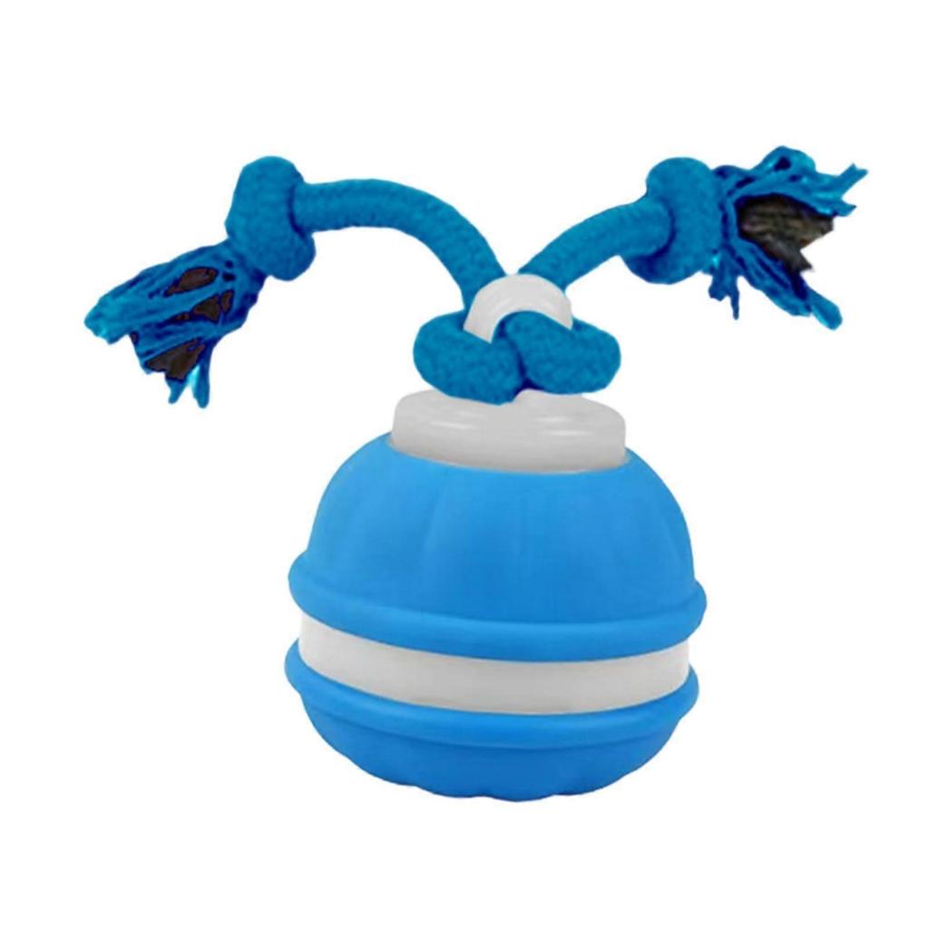 Dog Training Ball with Rope Pet Ball Motion Activated Cat Dog Interactive Toy Less