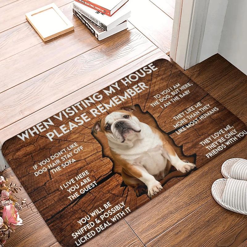 Corgi Themed Funny House Rules Living Room Door Mat Carpet Wood Texture Cute Corgi Pattern Humorous Visitor Notice Home Decor