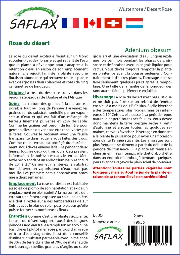 SAFLAX Desert Rose - 8 Seeds - Adenium Obesum