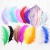 50PCS Colorful Natural Goose Feathers Natural Feather Colored Feathers  DIY Home Crafts