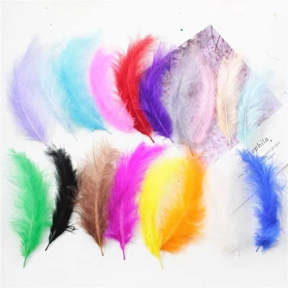 50PCS Colorful Natural Goose Feathers Natural Feather Colored Feathers  DIY Home Crafts