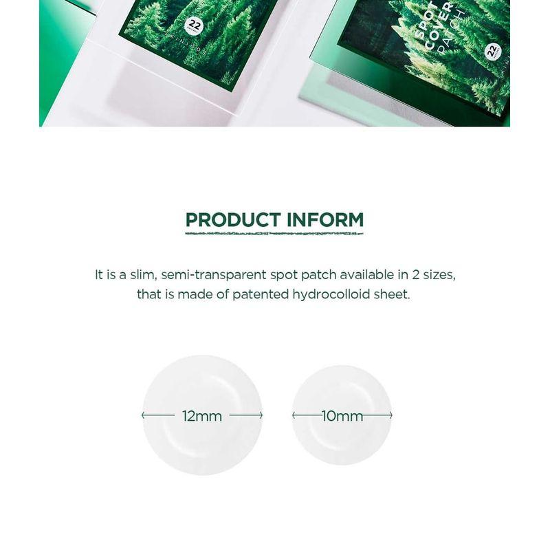 SKIN 1004 - Spot Cover Patch