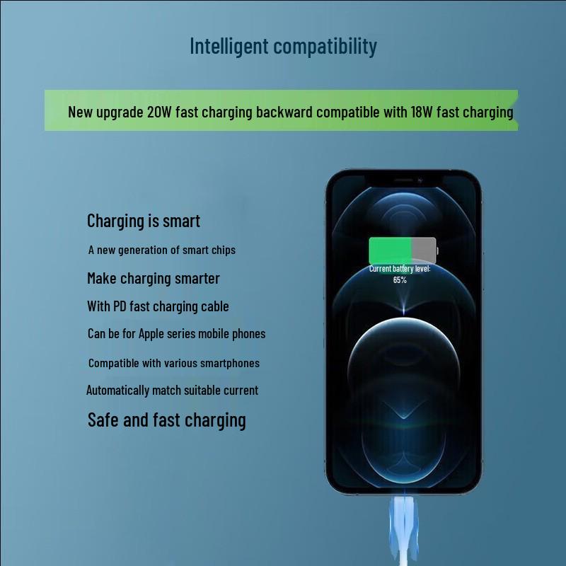 Universal 20W PD Fast Charger Set for iPhone 15/14 - Charging Head & Cable