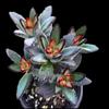 Decoração de casa – Flores e coroas artificiais
