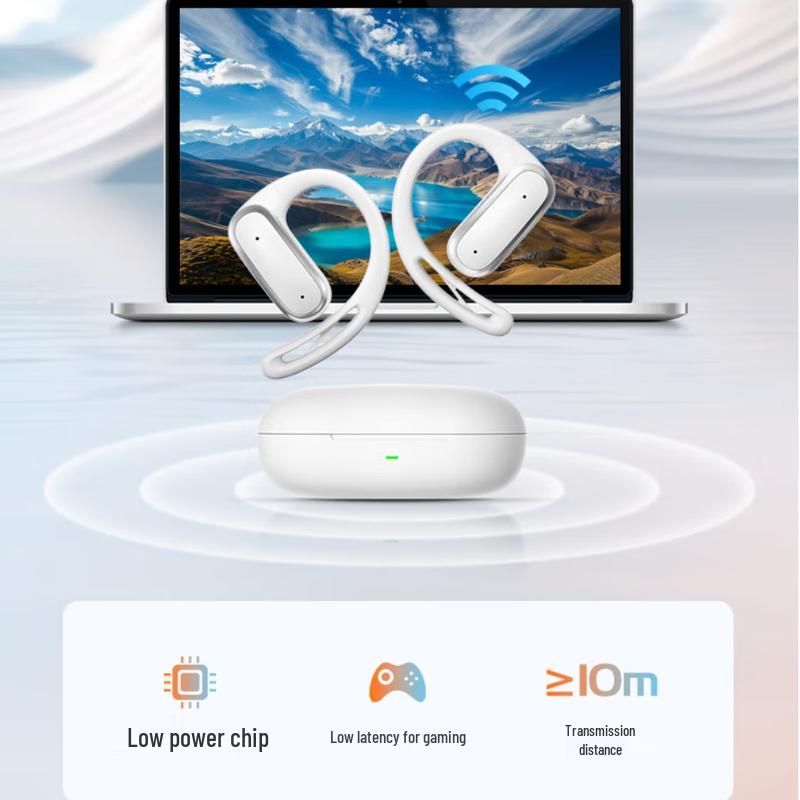 Newman LY55 Wireless Sports Ear-hook Headset