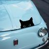 Funny Car Cat Sticker Self-Adhesive PET Bumper Sticker Car Tail Bumper Window Cute Cat Peeking Decal Auto Styling Decoration