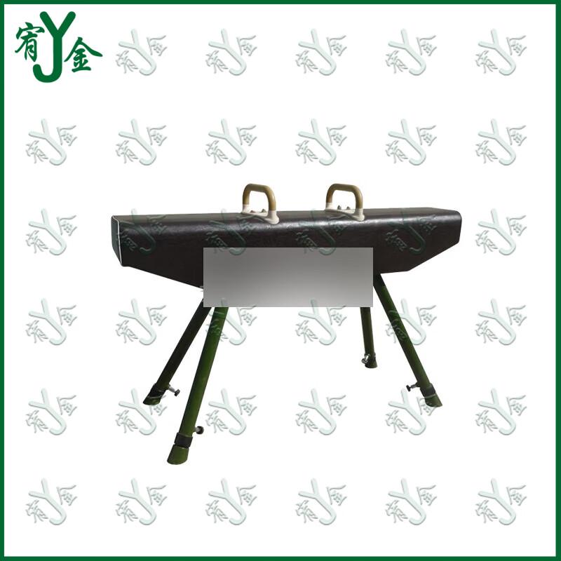 Gymnastics Training Pommel Horse