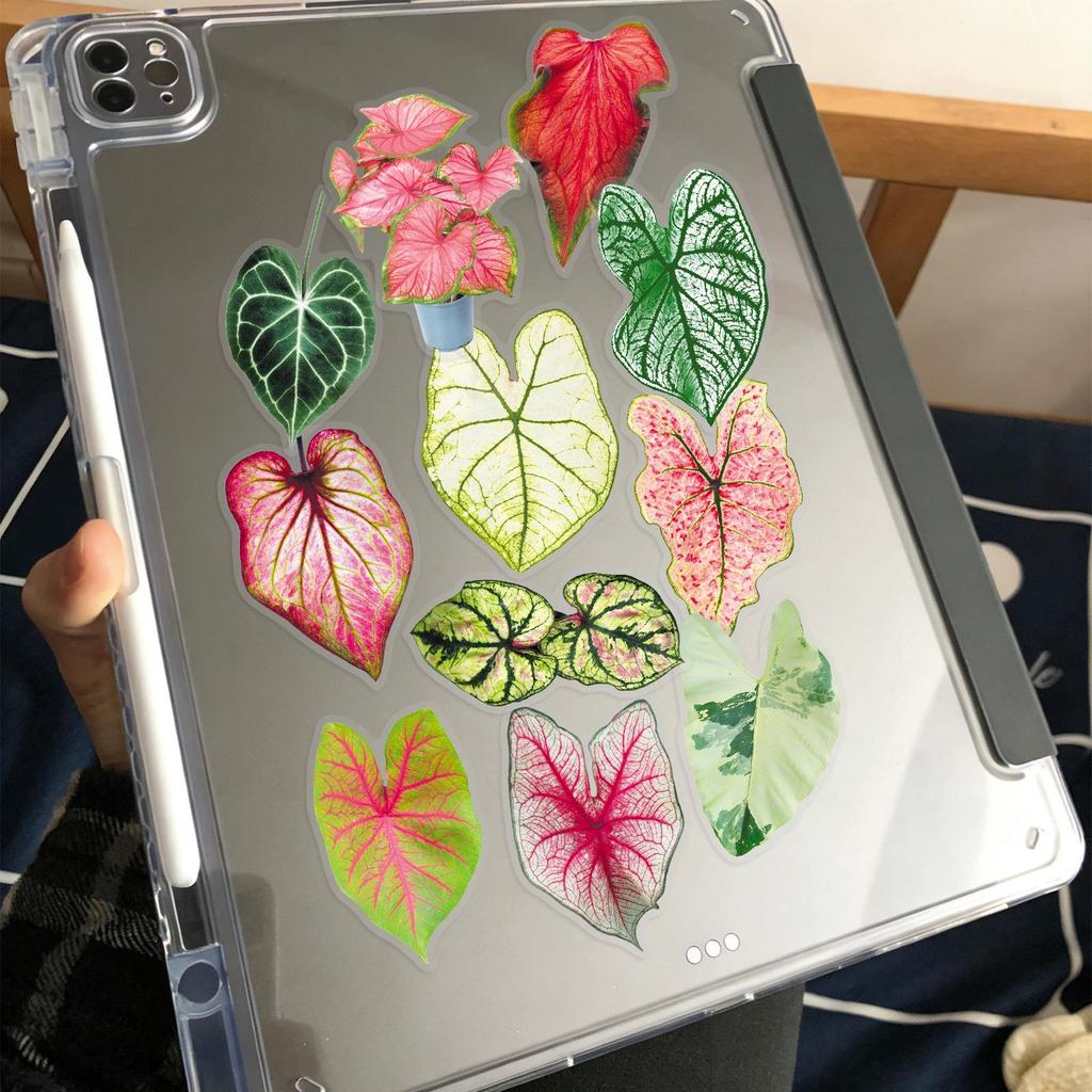 50 Colorful Caladium Leaf Stickers: Realistic Transparent PET for Scrapbooking, DIY & Phone Case Decor