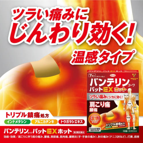 [Category 2 OTC Drug] Vantelin Kowapat EX Hot, 21 Sheets