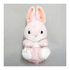 Sanei Boeki Original Plush Toy KyunKoro Rabbit Animal