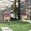 VidaXL Outdoor Planters 2 Pcs 50x50x70 Cm Solid Pine Wood