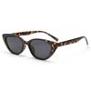 2026 European and American Cat Eye Polarized Sunglasses Trendy Men and Women Fashion Retro Sunglasses