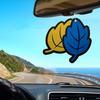 Îngrijirea automobilului – Odorizante auto